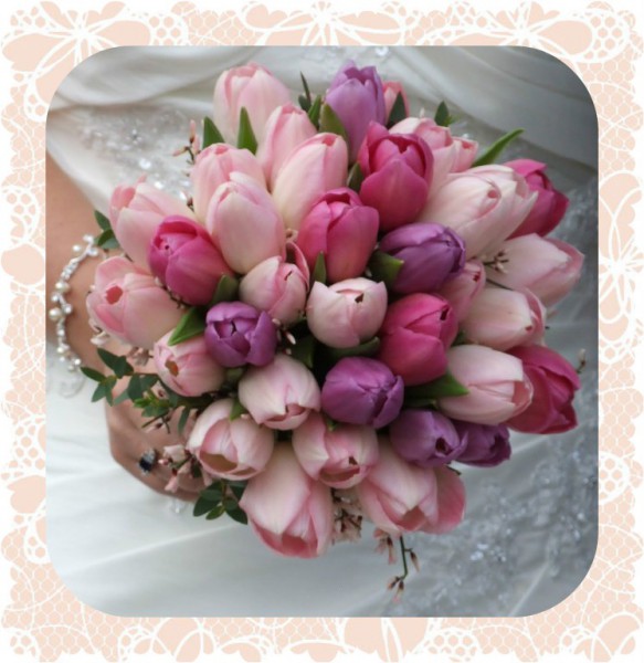 tulipel1