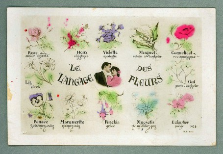 language des fleurs 