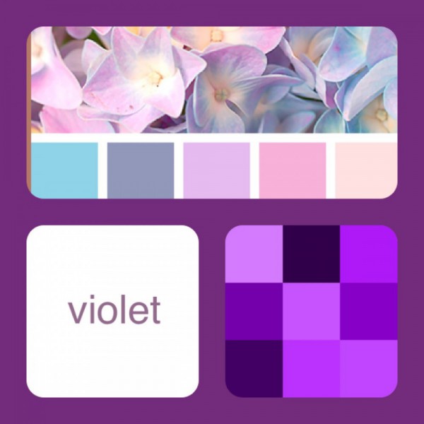 vi