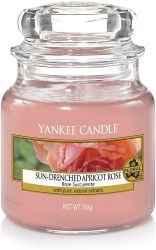 1577142e sun drenched apricot rose small jar rose succulente yankee candle 