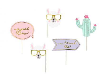 accessoires photo lamas cactus 