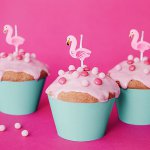 mini3-photo-bougies-flamand-rose.jpeg