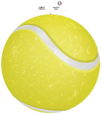 11100 32decoupe carton tennis 