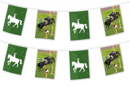 04100 34equitation guirlande fanion 