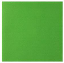 grande serviette rainbow vert pomme 