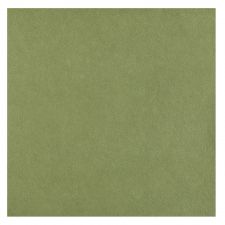 grande serviette rainbow olive 
