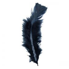 plume noir 30 pcs anniversaire communion mariage fete feudartifice cotillons