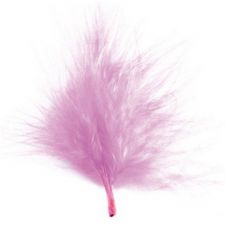 70066 5 roseplumes couleur fete ceremonie ambiance decoration