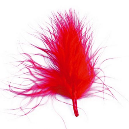 70066 7 rougeplumes couleur fete ceremonie ambiance decoration 