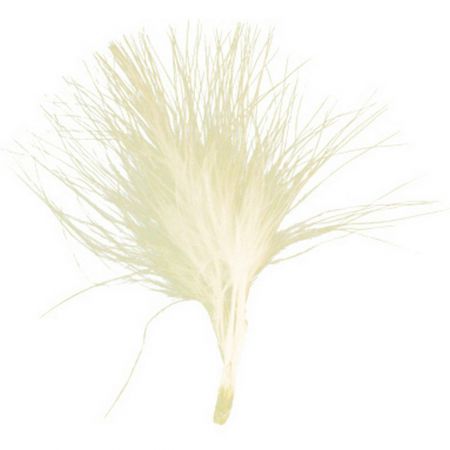 70066 25 ivoire plumes couleur fete ceremonie ambiance decoration 