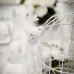 mini3-64_3888decoration-oiseau-plume-fete-salle.jpg