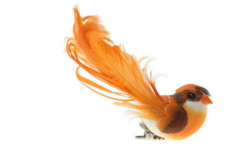 3888 12 orangedecoration oiseau plume fete salle 