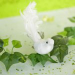 mini3-decoration-oiseau-plume-fete-salle.jpg