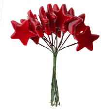 bouquet etoiles decoration table fete 5