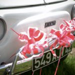 mini3-noeud-decoration-table-voiture-salle-fete-ceremonie-couleur-tulle-8.jpg