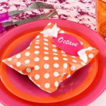 mini3-ceremonie-fete-decoration-salle-table-couleur-sac-pois-theme-pois-anniversaire-5.jpg