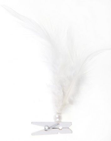 plumes pince decoration table salle bapteme mariage anniversaire fete ceremonie couleur ambiance 16 