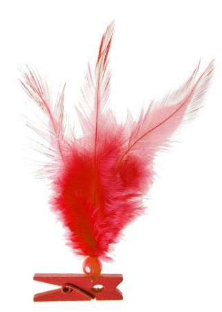 plumes pince decoration table salle bapteme mariage anniversaire fete ceremonie couleur ambiance 17 