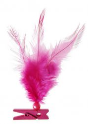 plumes pince decoration table salle bapteme mariage anniversaire fete ceremonie couleur ambiance 2 