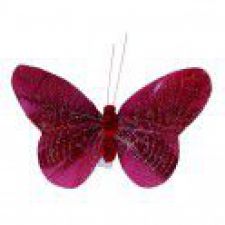 348bdx papillon scintillant 6 pcs 
