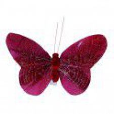 348bdx papillon scintillant 6 pcs