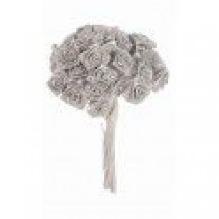 6931ar mini rose ourlee 144 pcs 