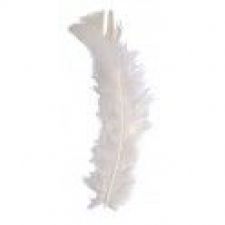 73ec plume 30 pcs