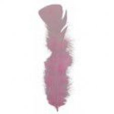 73ro plume 30 pcs