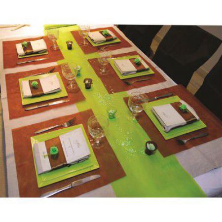 331ar rouleaux intisse 29cmx10m2 