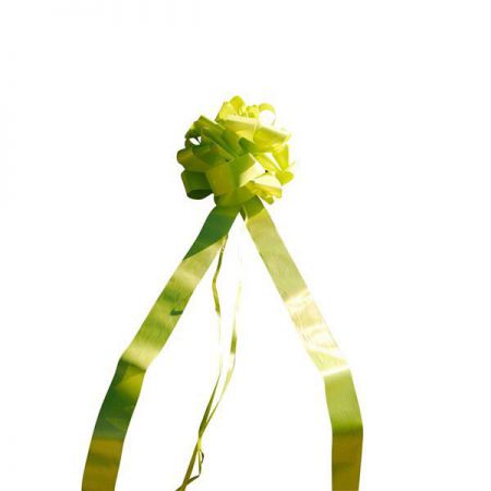 noeud geant voiture vert 108mx7cm anniversaire communion mariage fete feudartifice cotillons 