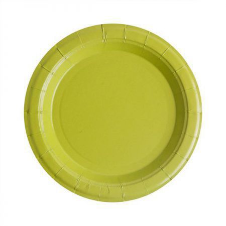 assiette laquee vert les 10 pieces anniversaire communion mariage fete feudartifice cotillons 