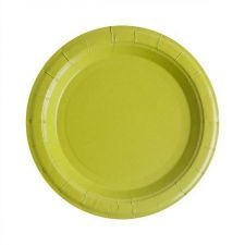 assiette laquee vert les 10 pieces anniversaire communion mariage fete feudartifice cotillons