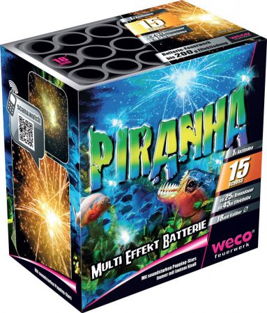 3384 48piranha feux artifice pro batterie pas chere weco top fete 